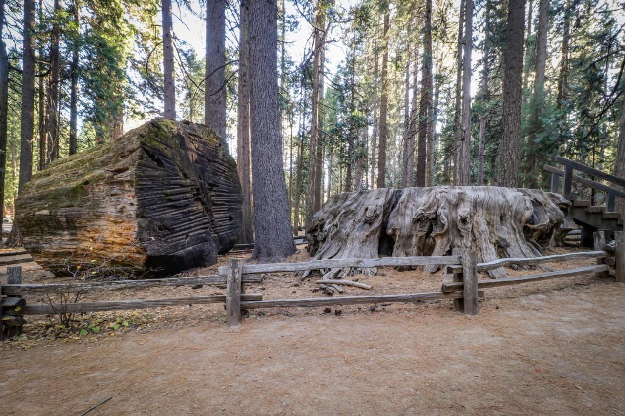 Hikers Haven Villa Arnold Dış mekan fotoğraf