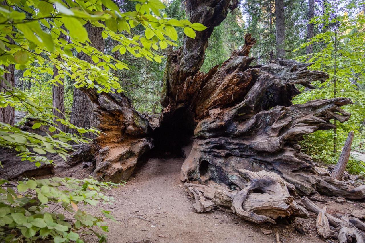 Hikers Haven Villa Arnold Dış mekan fotoğraf